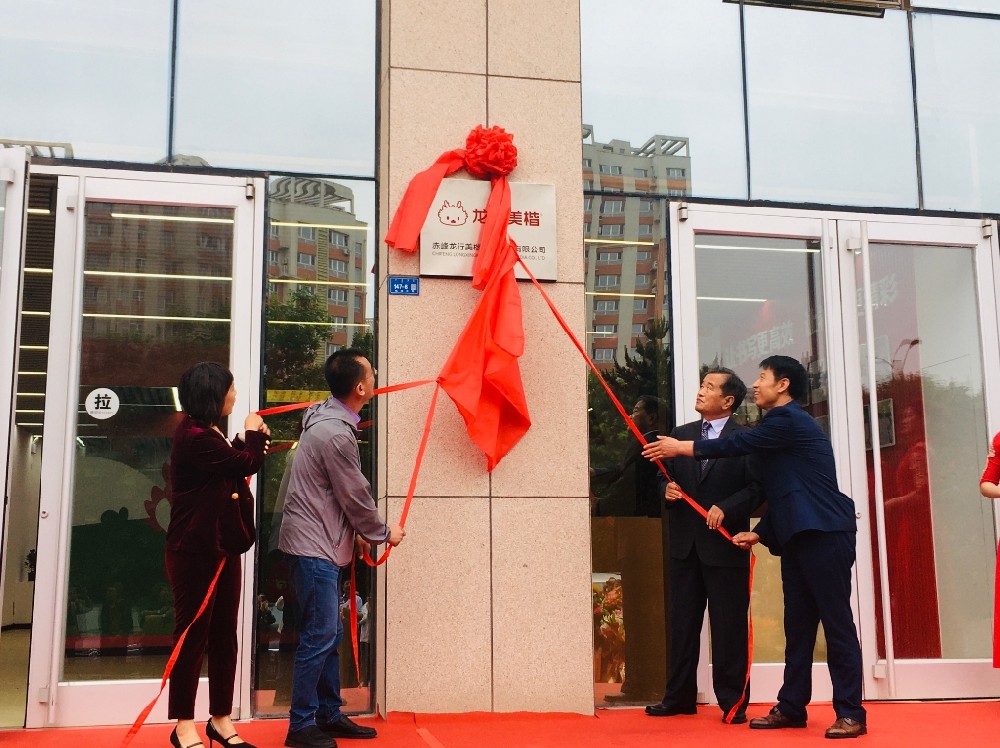 赤峰本土教育创新：“龙行美楷练字法”走进全市中小学